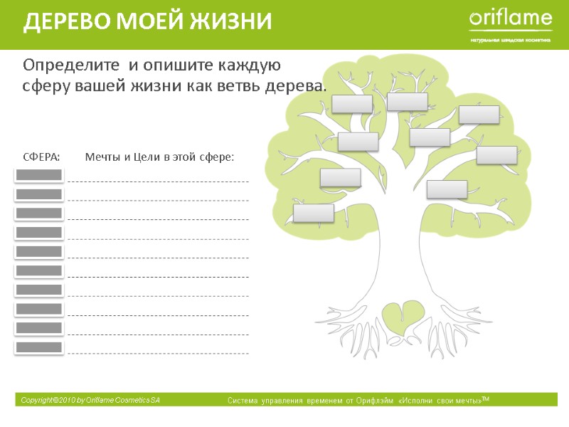 ДЕРЕВО МОЕЙ ЖИЗНИ Определите  и опишите каждую сферу вашей жизни как ветвь дерева.